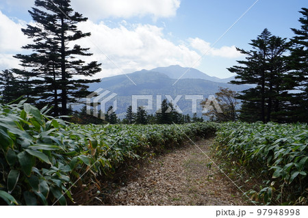 ぐんま県境稜線トレイル 土鍋山山頂を通過し浦倉山が見える場所付近の登山道 2022年9月26日 ぐんま県境稜線トレイル 土鍋山山頂を通過し浦倉山が見える場所付近の登山道 2022年9月26日 97948998