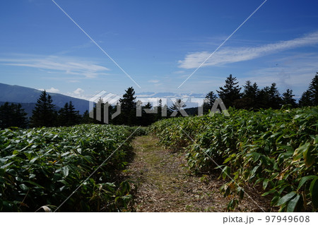 ぐんま県境稜線トレイル　土鍋山山頂を通過し浦倉山が見える場所付近の登山道　2022年9月26日 97949608