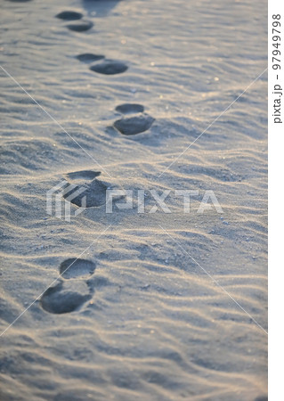砂浜に残った足跡　イメージ 97949798