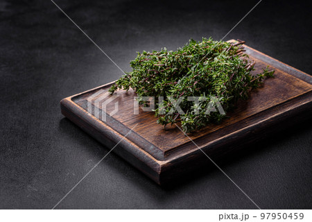 Bunch of fresh picked thyme on a dark concrete background 97950459