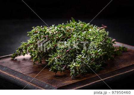 Bunch of fresh picked thyme on a dark concrete background Bunch of fresh picked thyme on a dark concrete background 97950460