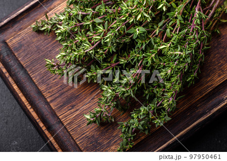 Bunch of fresh picked thyme on a dark concrete background Bunch of fresh picked thyme on a dark concrete background 97950461