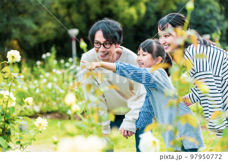 公園で仲良く遊ぶ家族 97950772