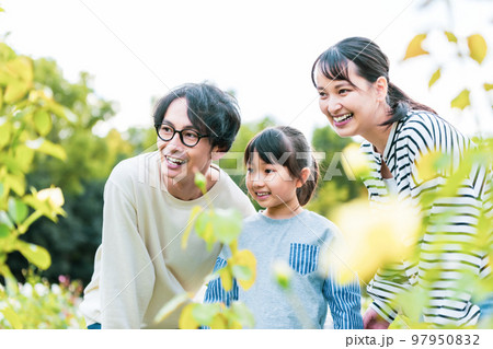 公園で仲良く遊ぶ家族 公園で仲良く遊ぶ家族 97950832