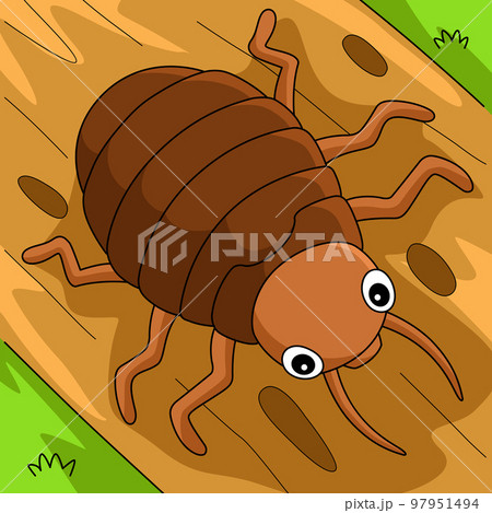Bedbug Animal Colored Cartoon Illustration 97951494