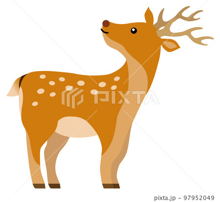 ふり向くシカ 97952049