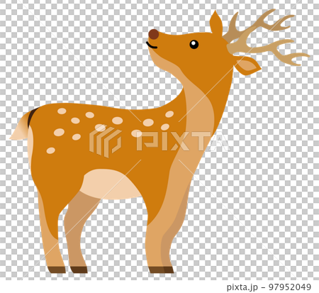 ふり向くシカ 97952049