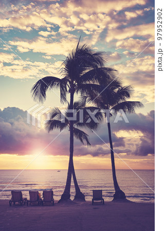 Caribbean tropical beach with coconut palm trees silhouettes at sunset, color toning applied, Mexico. Caribbean tropical beach with coconut palm trees silhouettes at sunset, color toning applied, Mexico. 97952902