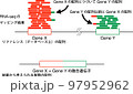 RNA-seqの融合遺伝子解析 97952962