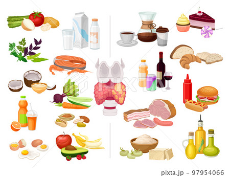 Thyroid Good and Bad Food and Nutrition Big Vector Set Thyroid Good and Bad Food and Nutrition Big Vector Set 97954066