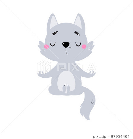 Cute Little Wolf Cub with Grey Coat Meditating Vector Illustration Cute Little Wolf Cub with Grey Coat Meditating Vector Illustration 97954404