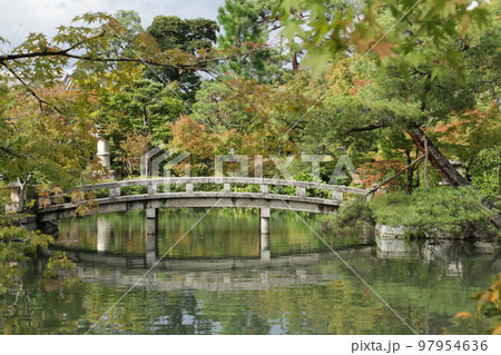 うっすら色づき始めたもみじの永観堂　 97954636