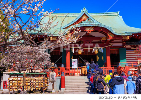 東京 江東区 亀戸天神社 梅まつり 東京 江東区 亀戸天神社 梅まつり 97954746