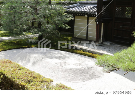 もみじの永観堂の滴定 97954936