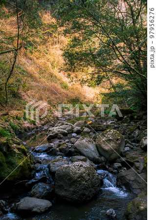 天岩戸神社の水流 97956276