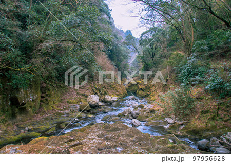 大自然の中の景色 97956628