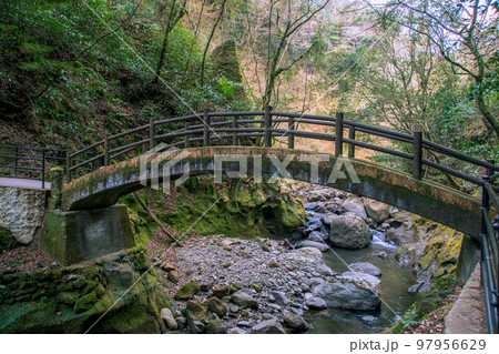 天岩戸神社にかかる橋 97956629