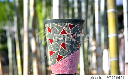 背景は行田忍城跡竹林です。 97956661