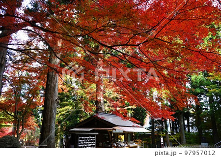 世界遺産関山中尊寺 97957012