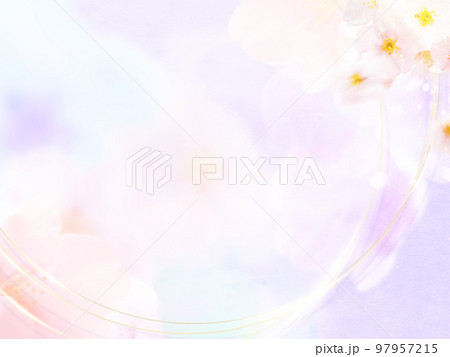 明るい桜の背景 明るい桜の背景 97957215