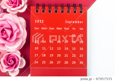 The Red September 2023 Monthly desk calendar for 2023 year with pink rose. 97957555