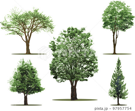 木　樹木　セット 97957754