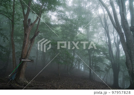 埼玉県_両神山_白井差登山道 97957828