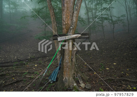 埼玉県_両神山_白井差登山道 97957829