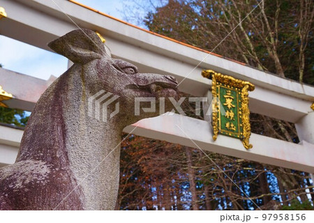 三峯神社　神社　秩父三社　三ツ鳥居　明神型鳥居　オオカミ　神犬 97958156