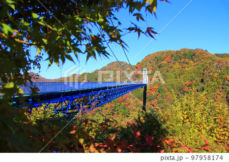 秋の竜神大吊橋　美しい紅葉の風景 97958174