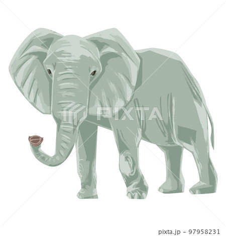 アフリカ象の手描き水彩風イラストのイラスト素材 [97958231] - PIXTA