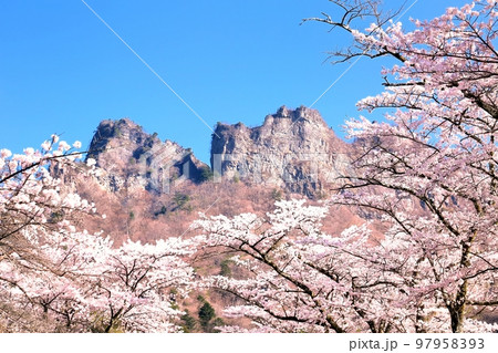 妙義山さくらの里 妙義山さくらの里 97958393