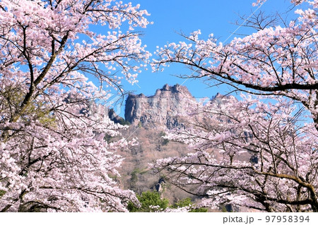 妙義山さくらの里 97958394