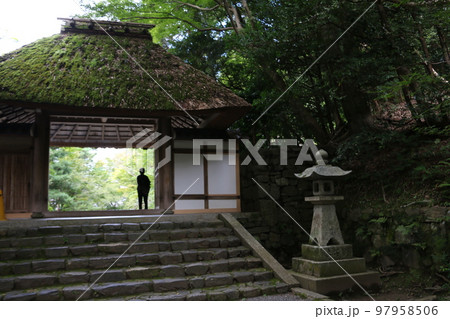 哲学の道近くにひっそりたたずむ法然院 哲学の道近くにひっそりたたずむ法然院 97958506