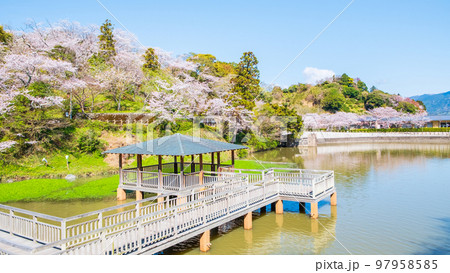 清水船越堤公園（春） 97958585