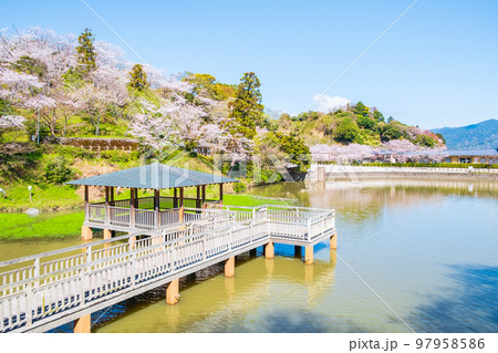 清水船越堤公園（春） 97958586