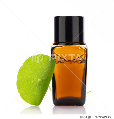 Close up centella asiatica extract in amber bottle with centella asiatica leaves isolated on white background. Close up centella asiatica extract in amber bottle with centella asiatica leaves isolated on white background. 97958935