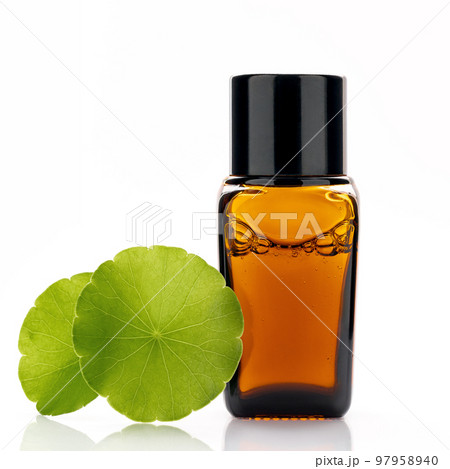 Close up centella asiatica extract in amber bottle with centella asiatica leaves isolated on white background. Close up centella asiatica extract in amber bottle with centella asiatica leaves isolated on white background. 97958940