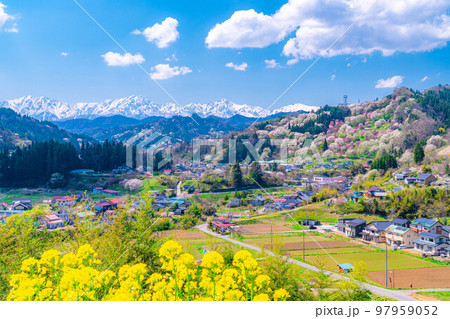 【春素材】里山の春・二反田の桜【長野県】 97959052