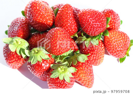 いちご（さちのか） 97959708