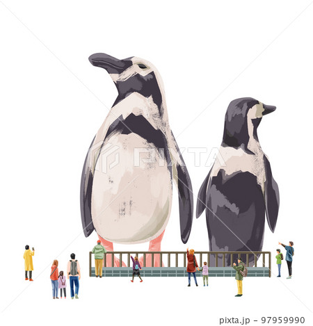 動物園のペンギンを見る人々の手描き水彩風イラスト 97959990