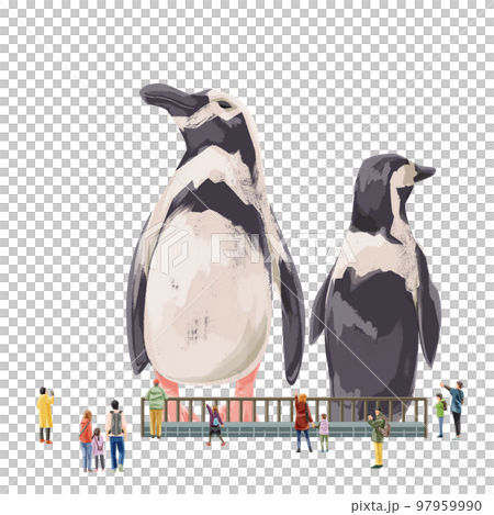動物園のペンギンを見る人々の手描き水彩風イラスト 97959990
