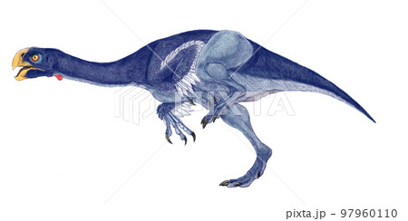 コンコラプトル　小型の海辺の貝泥棒 97960110