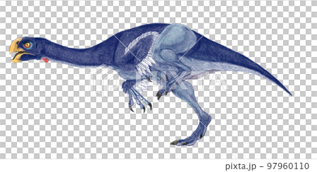 コンコラプトル　小型の海辺の貝泥棒 97960110