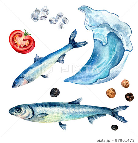 Set of anchovies and sea wave watercolor illustration isolated on white. Set of anchovies and sea wave watercolor illustration isolated on white. 97961475