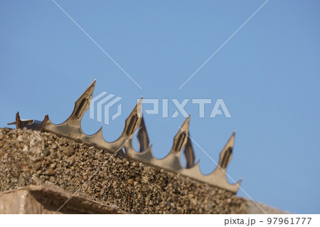 塀につけられた金属性の鳥よけ　4 97961777