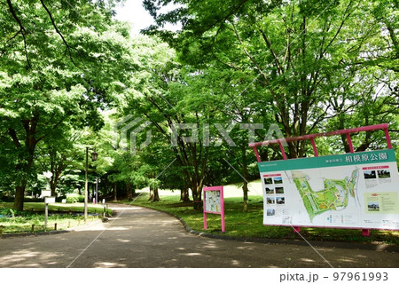 神奈川県立相模原公園 新緑散策路と公園案内板 神奈川県立相模原公園 新緑散策路と公園案内板 97961993