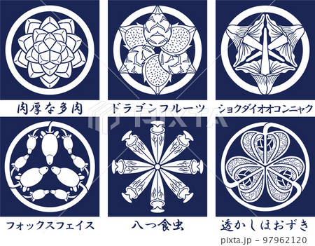 植物のイラスト　名前入り　エケベリア　ドラゴンフルーツ　紋 97962120