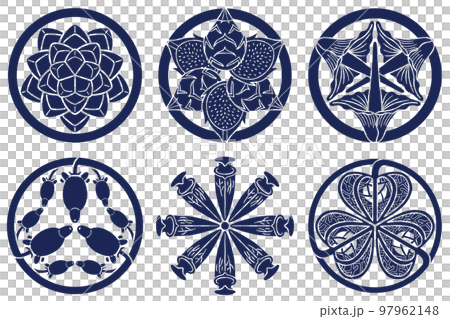 Botanical illustration Echeveria dragon fruit crest Botanical illustration Echeveria dragon fruit crest 97962148