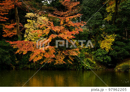 晩秋の兼六園の紅葉 晩秋の兼六園の紅葉 97962205